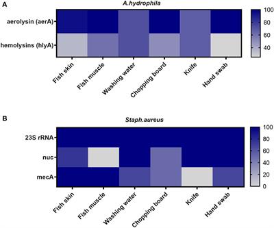 Cross-sectional analysis of risk factors associated with Mugil cephalus in retail fish markets concerning methicillin-resistant Staphylococcus aureus and Aeromonas hydrophila